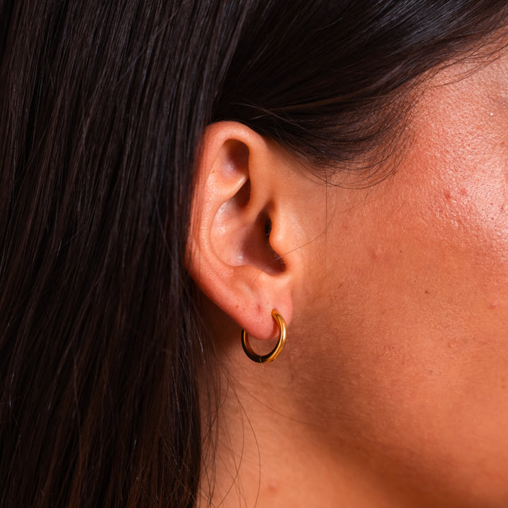 Gold-Plated Earrings