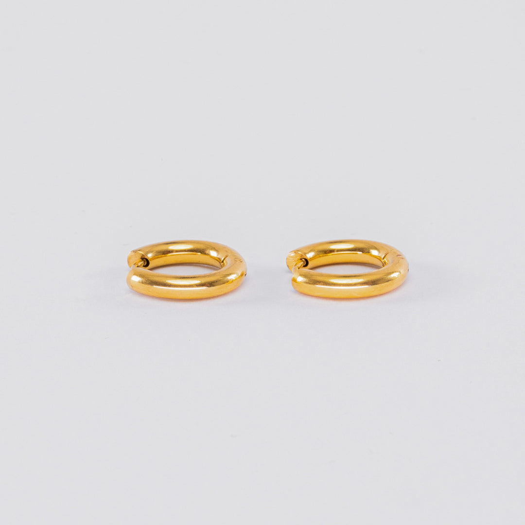 Gold-Plated Earrings