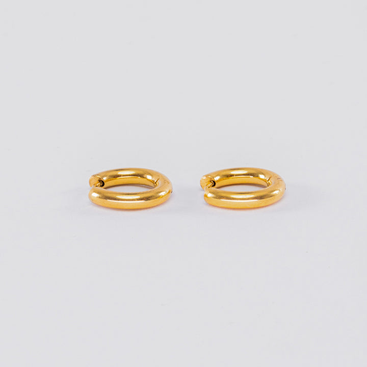 Gold-Plated Earrings