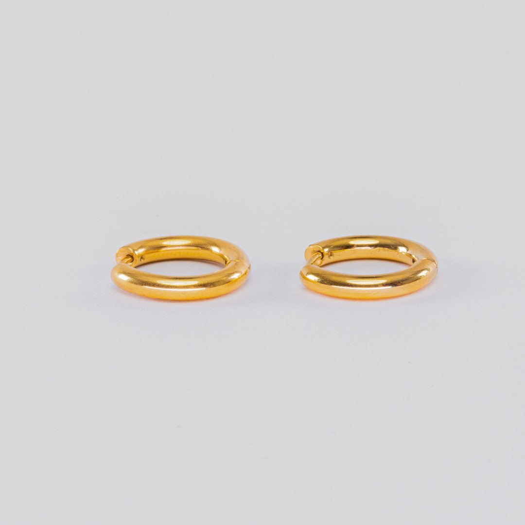 Gold-Plated Earrings