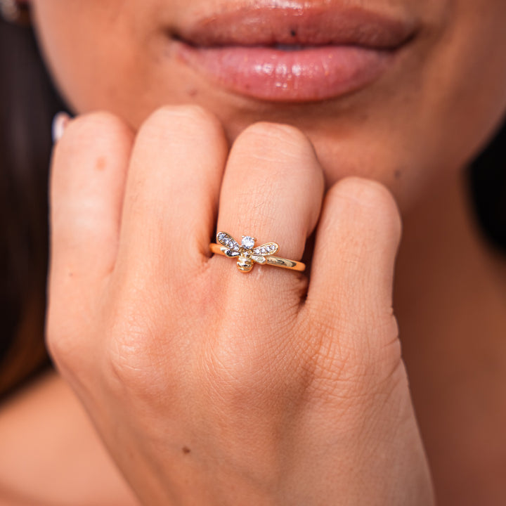 Laila: A Captivating Experience