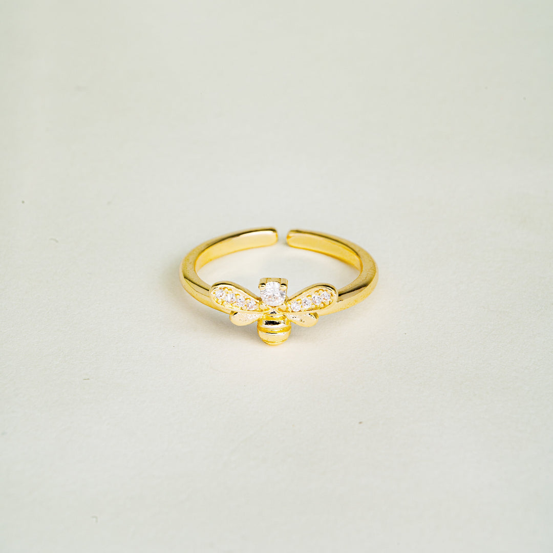 Laila: A Captivating Experience