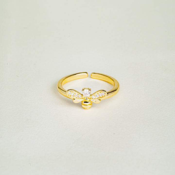 Laila: A Captivating Experience