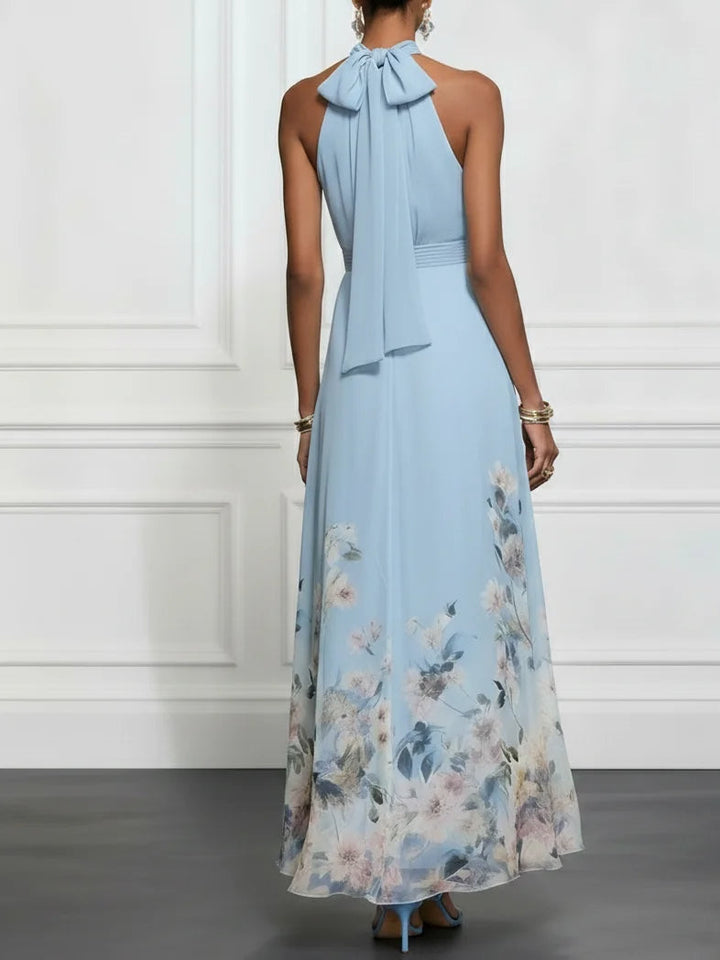 Women's Chiffon Halter Neck Gathered Bodice Back Zip Floral Border Print A-Line Maxi Dress